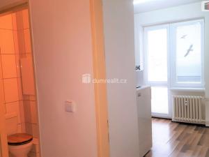 Pronájem bytu 1+1, Brno - Staré Brno, Výstavní, 40 m2