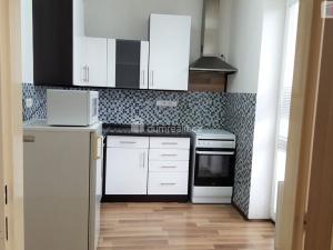 Pronájem bytu 1+1, Brno - Staré Brno, Výstavní, 40 m2