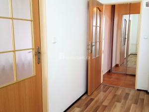 Pronájem bytu 1+1, Brno - Staré Brno, Výstavní, 40 m2