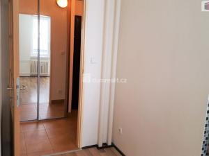 Pronájem bytu 1+1, Brno - Staré Brno, Výstavní, 40 m2