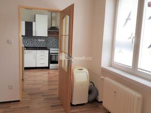 Pronájem bytu 1+1, Brno - Staré Brno, Výstavní, 40 m2