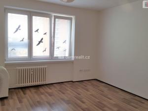 Pronájem bytu 1+1, Brno - Staré Brno, Výstavní, 40 m2