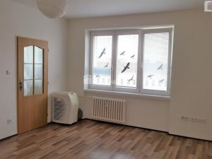 Pronájem bytu 1+1, Brno - Staré Brno, Výstavní, 40 m2