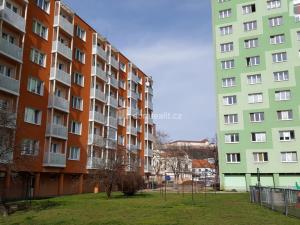Pronájem bytu 1+1, Brno - Staré Brno, Výstavní, 40 m2