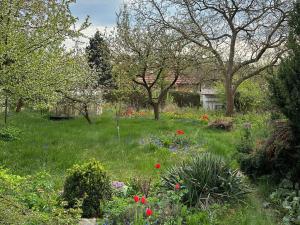 Prodej pozemku pro bydlení, Říčany, Na Ladech, 929 m2