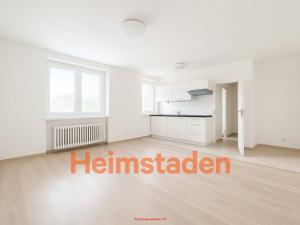 Pronájem bytu 1+kk, Havířov - Šumbark, U Nádraží, 29 m2