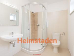 Pronájem bytu 1+kk, Havířov - Šumbark, U Nádraží, 29 m2
