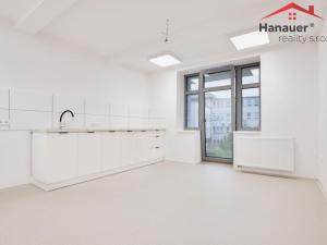 Pronájem ordinace, Ústí nad Labem - Ústí nad Labem-centrum, Koněvova, 120 m2