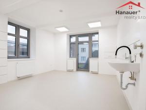 Pronájem ordinace, Ústí nad Labem - Ústí nad Labem-centrum, Koněvova, 120 m2