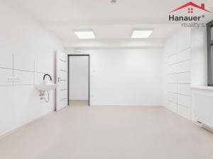 Pronájem ordinace, Ústí nad Labem - Ústí nad Labem-centrum, Koněvova, 120 m2