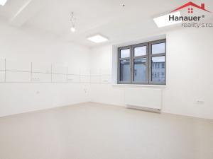 Pronájem ordinace, Ústí nad Labem - Ústí nad Labem-centrum, Koněvova, 120 m2