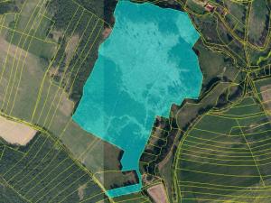 Prodej lesa, Vlčeves, 250236 m2