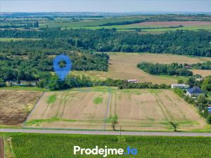Prodej pozemku pro bydlení, Dyje, 9718 m2