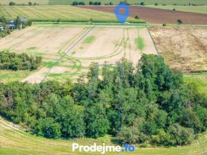 Prodej pozemku pro bydlení, Dyje, 9718 m2