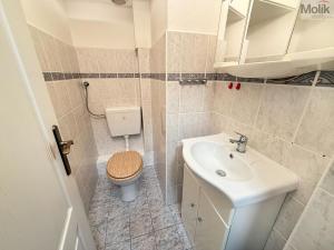 Pronájem bytu 2+1, Teplice, Třebízského, 65 m2