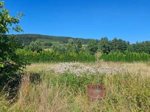Prodej rodinného domu, Přerubenice, 80 m2