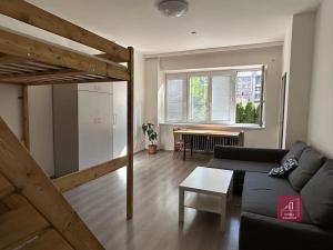 Pronájem bytu 1+1, Brno, Cihlářská, 37 m2