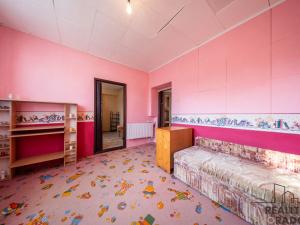 Prodej rodinného domu, Moravský Písek, Sokolská, 210 m2