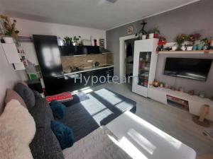 Prodej bytu 2+kk, Ústí nad Labem - Klíše, Klíšská, 47 m2