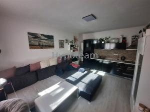 Prodej bytu 2+kk, Ústí nad Labem - Klíše, Klíšská, 47 m2