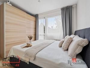 Prodej bytu 3+1, Nová Paka, K Hájku, 74 m2