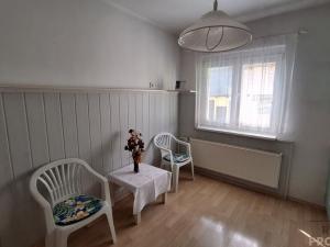 Prodej rodinného domu, Velké Březno, Mlýnská, 169 m2