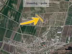 Prodej pole, Sedlec, 6224 m2