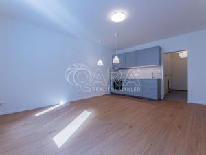Pronájem bytu 1+kk, Praha - Žižkov, Viklefova, 34 m2