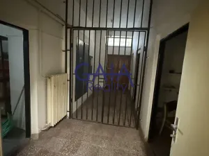 Prodej obchodního prostoru, Suchdol nad Lužnicí, Husova, 401 m2