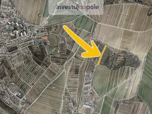 Prodej lesa, Bučovice - Vícemilice, 3433 m2