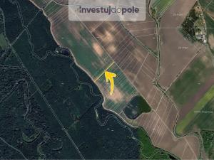 Prodej pole, Kostice, 1444 m2