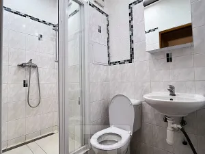 Pronájem bytu 2+1, Plzeň, Blatenská, 60 m2