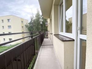 Pronájem bytu 2+1, Opava - Předměstí, Sokolovská, 54 m2