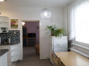 Pronájem bytu 3+1, Zábřeh, Severovýchod, 62 m2