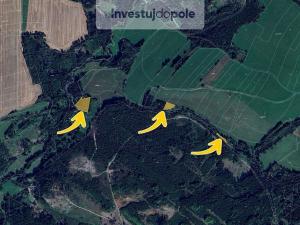 Prodej lesa, Prosíčka - Dolní Prosíčka, 4042 m2