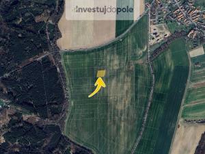 Prodej pole, Štíhlice, 1043 m2