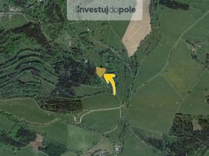 Prodej louky, Horní Branná - Valteřice, 2558 m2