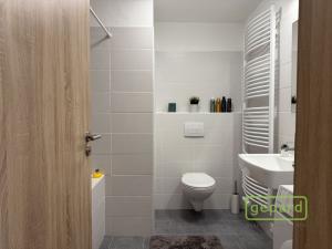 Pronájem bytu 1+kk, Olomouc, Edmunda Husserla, 41 m2
