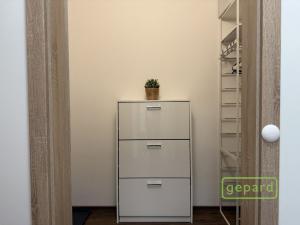 Pronájem bytu 1+kk, Olomouc, Edmunda Husserla, 41 m2