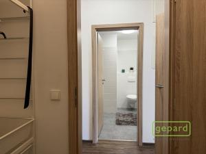 Pronájem bytu 1+kk, Olomouc, Edmunda Husserla, 41 m2