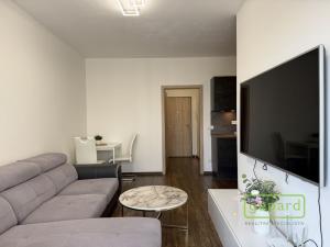 Pronájem bytu 1+kk, Olomouc, Edmunda Husserla, 41 m2