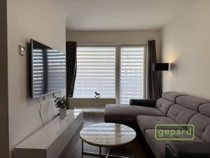 Pronájem bytu 1+kk, Olomouc, Edmunda Husserla, 41 m2