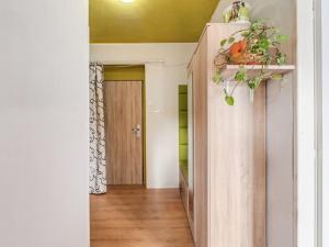 Pronájem bytu 2+1, Mikulášovice, 64 m2