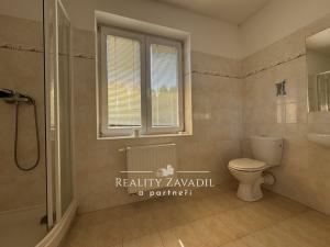 Prodej rodinného domu, Kozmice, K Točně, 368 m2
