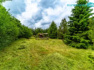 Prodej zahrady, Tachov, 792 m2