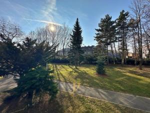 Pronájem bytu 4+1, Olomouc, Lazecká, 78 m2