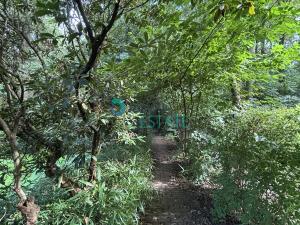 Prodej komerčního pozemku, Praha, V březině, 386 m2