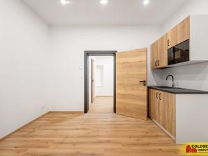 Pronájem bytu 1+1, Brno - Husovice, 28 m2