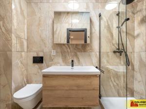 Pronájem bytu 1+kk, Brno - Husovice, 49 m2
