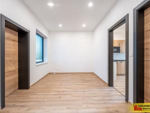 Pronájem bytu 1+kk, Brno - Husovice, 49 m2